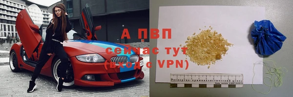 прущие грибы Яранск