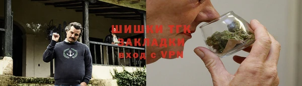 прущие грибы Яранск