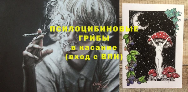 спайс Щигры