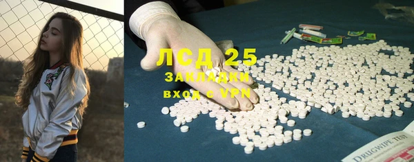 спайс Щигры