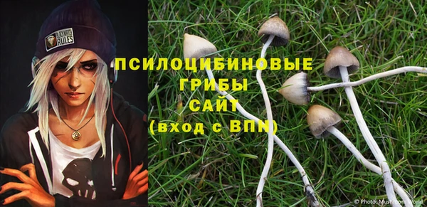 бошки Щёлкино