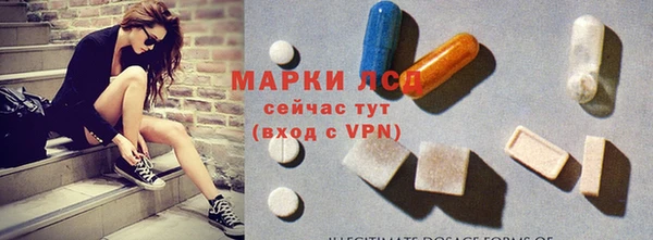 прущие грибы Яранск